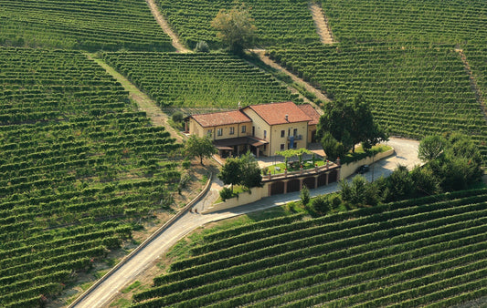 The Kingdom of Wine - Italy